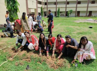 Students doing Plantation 2